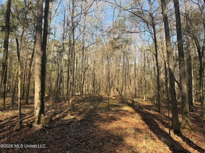 Land for Sale in Simpson County - image 12