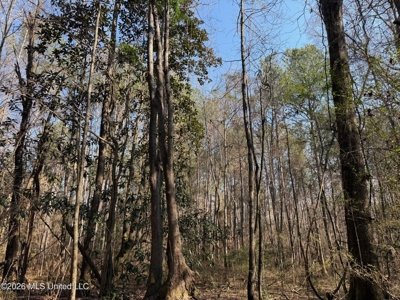 Land for Sale in Simpson County - image 34