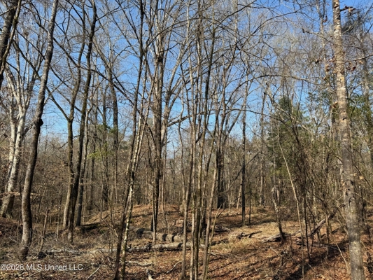 Land for Sale in Simpson County