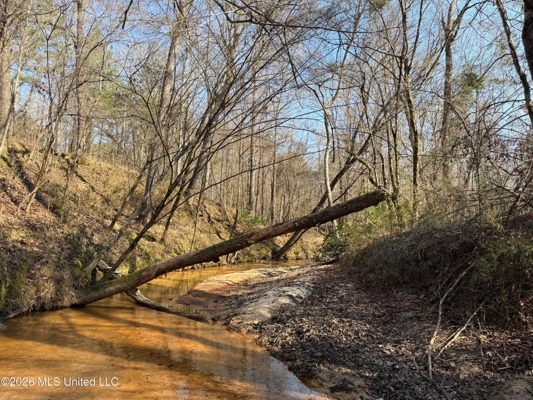 Land for Sale in Simpson County