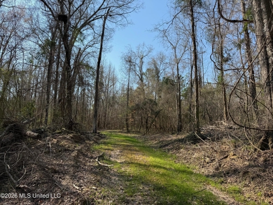 Land for Sale in Simpson County