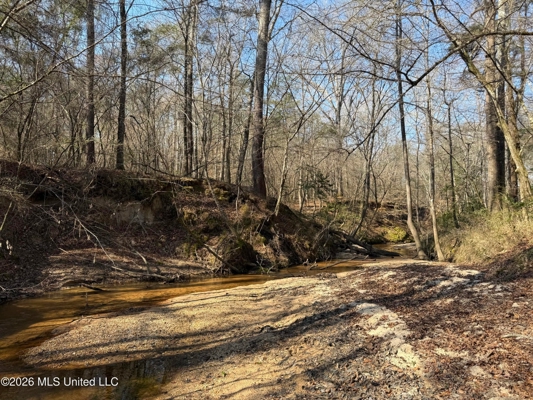 Land for Sale in Simpson County