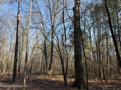 Land for Sale in Simpson County - image 20