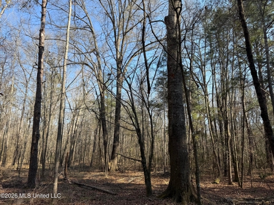 Land for Sale in Simpson County