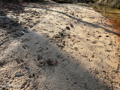 Land for Sale in Simpson County - image 19