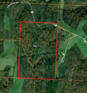Woodsfield 60 +/- Acres of Hunting Land at Auction - image 4