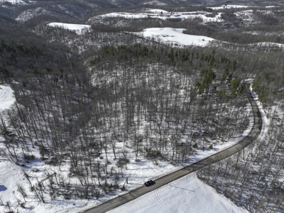 Woodsfield 60 +/- Acres of Hunting Land at Auction - image 1