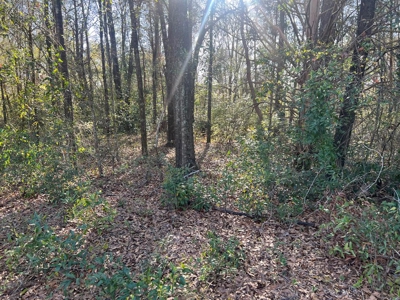 2 Acre Homesite Near Enterprise, AL - image 9