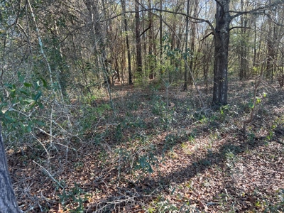 2 Acre Homesite Near Enterprise, AL - image 3