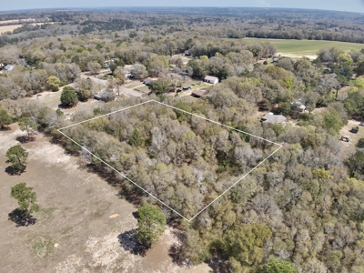 2 Acre Homesite Near Enterprise, AL - image 27