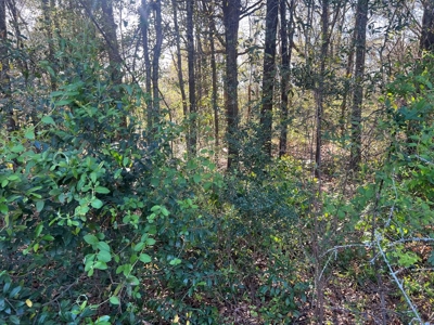 2 Acre Homesite Near Enterprise, AL - image 12
