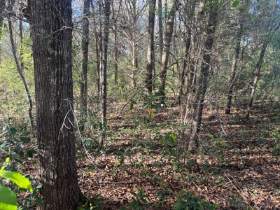 2 Acre Homesite Near Enterprise, AL - image 21