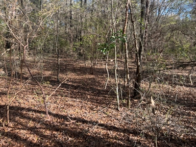 2 Acre Homesite Near Enterprise, AL - image 20