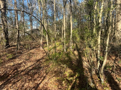 2 Acre Homesite Near Enterprise, AL - image 22