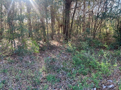 2 Acre Homesite Near Enterprise, AL - image 5