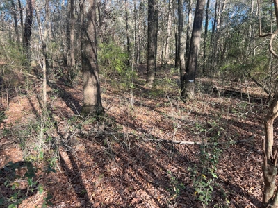 2 Acre Homesite Near Enterprise, AL - image 18