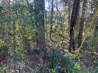 2 Acre Homesite Near Enterprise, AL - image 13