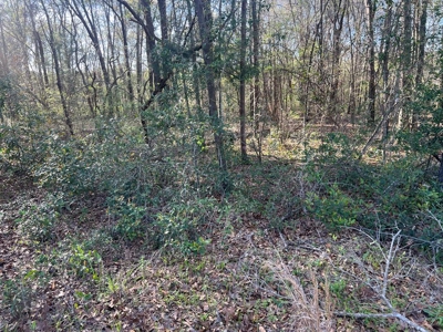 2 Acre Homesite Near Enterprise, AL - image 8