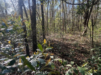 2 Acre Homesite Near Enterprise, AL - image 14