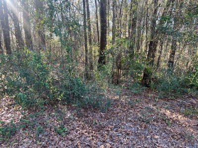 2 Acre Homesite Near Enterprise, AL - image 7
