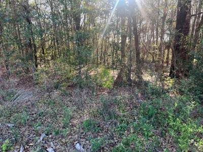 2 Acre Homesite Near Enterprise, AL - image 1