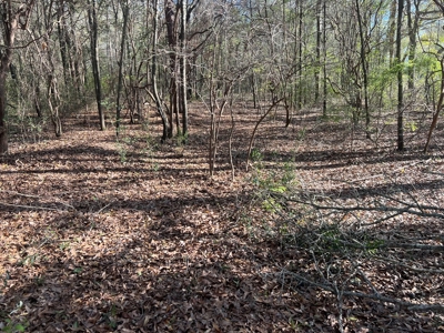 2 Acre Homesite Near Enterprise, AL - image 19