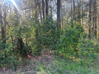 2 Acre Homesite Near Enterprise, AL - image 11
