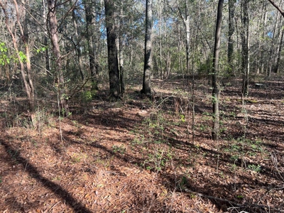 2 Acre Homesite Near Enterprise, AL - image 16