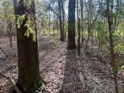 2 Acre Homesite Near Enterprise, AL - image 23
