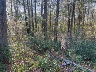 2 Acre Homesite Near Enterprise, AL - image 10