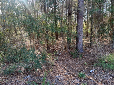 2 Acre Homesite Near Enterprise, AL - image 6