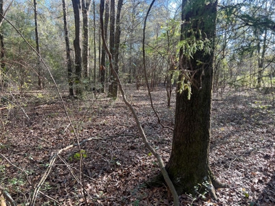 2 Acre Homesite Near Enterprise, AL - image 15
