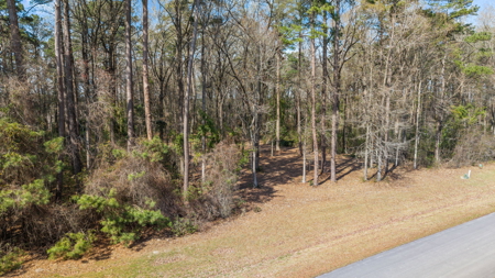 0.61 Acre Lot in Winfield Estates - No City Taxes - image 7