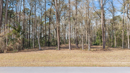 0.61 Acre Lot in Winfield Estates - No City Taxes - image 2