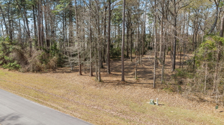 0.61 Acre Lot in Winfield Estates - No City Taxes - image 6