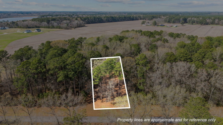 0.61 Acre Lot in Winfield Estates - No City Taxes - image 3