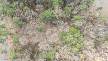 0.61 Acre Lot in Winfield Estates - No City Taxes - image 14