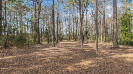 0.61 Acre Lot in Winfield Estates - No City Taxes - image 16