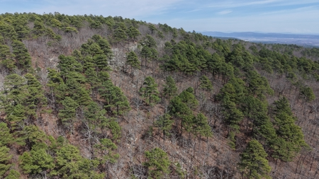 Land for sale Red oak Oklahoma. Mountain Property for sale - image 8
