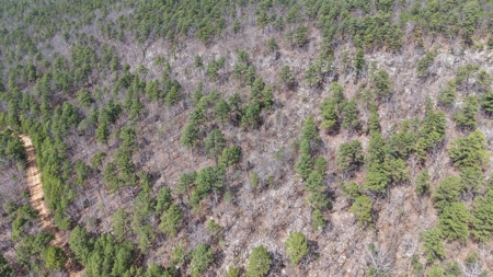 Land for sale Red oak Oklahoma. Mountain Property for sale - image 7
