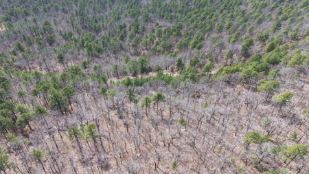 Land for sale Red oak Oklahoma. Mountain Property for sale - image 13