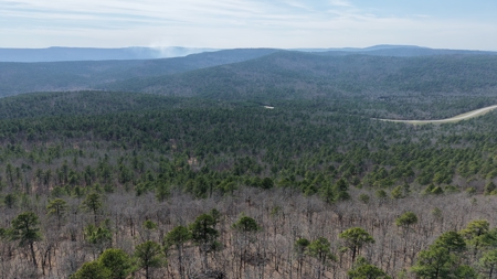 Land for sale Red oak Oklahoma. Mountain Property for sale - image 10