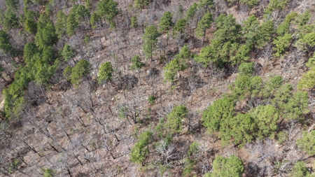 Land for sale Red oak Oklahoma. Mountain Property for sale - image 5
