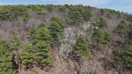 Land for sale Red oak Oklahoma. Mountain Property for sale - image 9