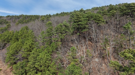 Land for sale Red oak Oklahoma. Mountain Property for sale - image 1
