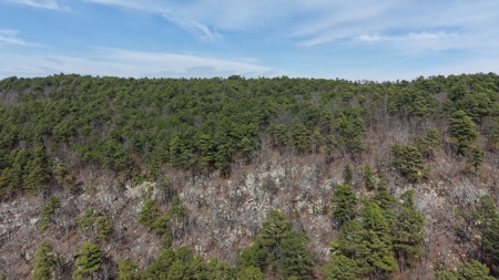 Land for sale Red oak Oklahoma. Mountain Property for sale - image 12