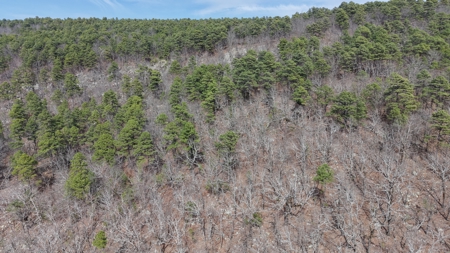 Land for sale Red oak Oklahoma. Mountain Property for sale - image 2