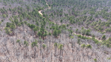 Land for sale Red oak Oklahoma. Mountain Property for sale - image 11