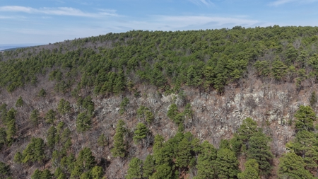 Land for sale Red oak Oklahoma. Mountain Property for sale - image 3