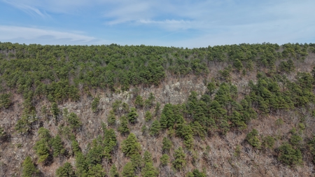 Land for sale Red oak Oklahoma. Mountain Property for sale - image 6